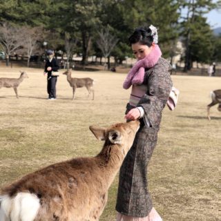 奈良公園で着物撮影📷